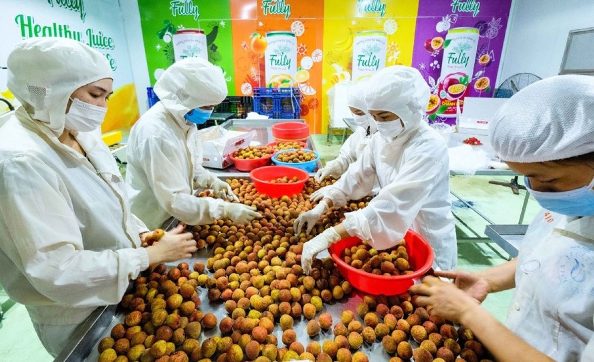 Giá trị xuất khẩu nhiều mặt hàng chủ lực tăng trưởng hai con số Giá trị xuất khẩu nhiều mặt hàng chủ lực tăng trưởng hai con số