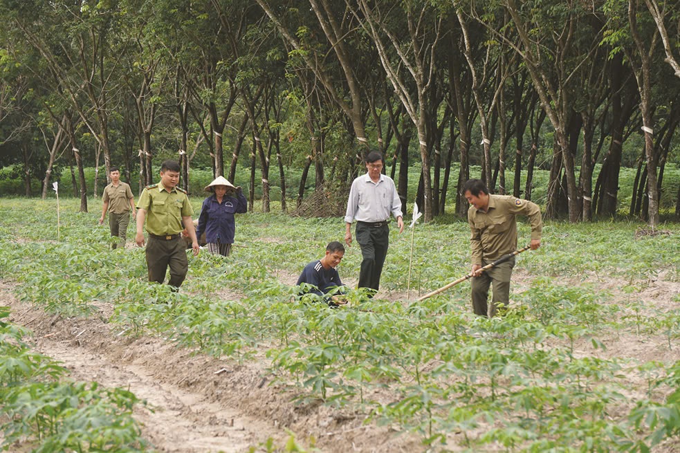 Vietcap sẽ triển khai trồng rừng tại Khu rừng phòng hộ Dầu Tiếng, Tây Ninh Vietcap sẽ triển khai trồng rừng tại Khu rừng phòng hộ Dầu Tiếng, Tây Ninh