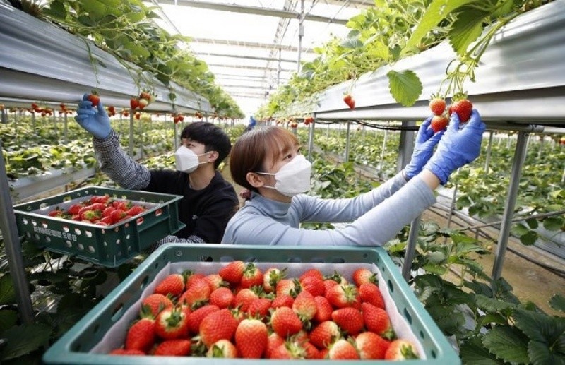 Khuyến cáo về việc quảng bá tuyển lao động đi làm việc tại Israel