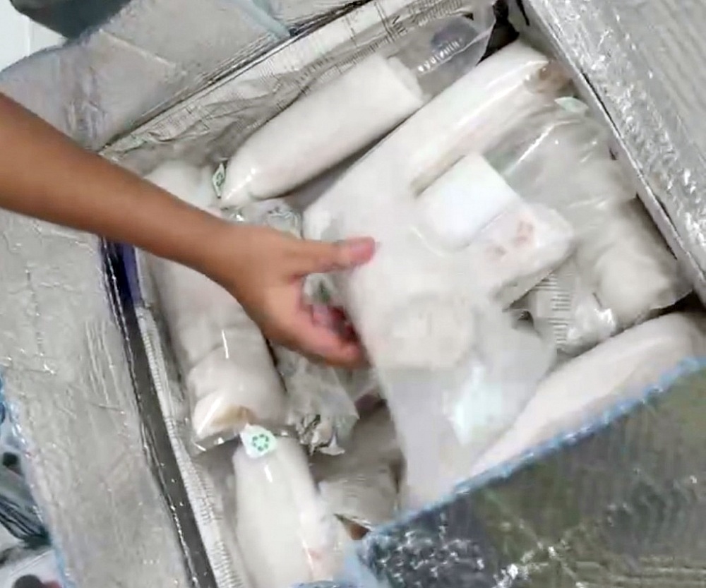 Số tôm hùm giống nhập lậu bị Hải quan Đà Nẵng phát hiện được cất giấu trong 2 kiện hành lý Số tôm hùm giống nhập lậu bị Hải quan Đà Nẵng phát hiện được cất giấu trong 2 kiện hành lý