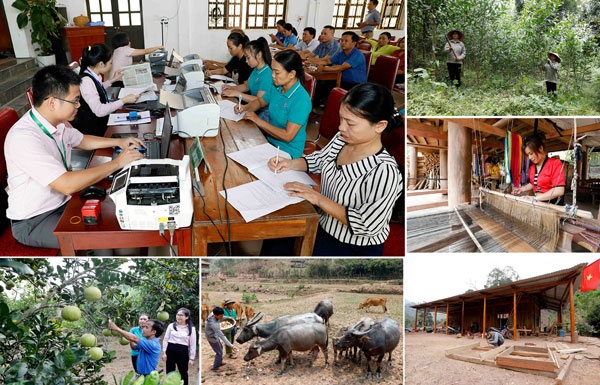 Nguồn vốn chính sách giúp người dân Nghệ An phát triển kinh tế