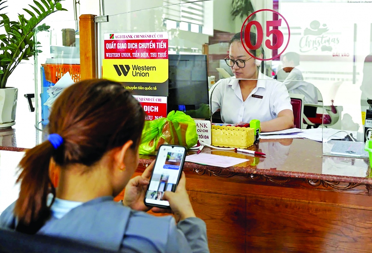 Ngân hàng tài trợ vốn lớn và các giải pháp quản lý tài chính kinh doanh cho các mô hình nông nghiệp ứng dụng công nghệ cao 