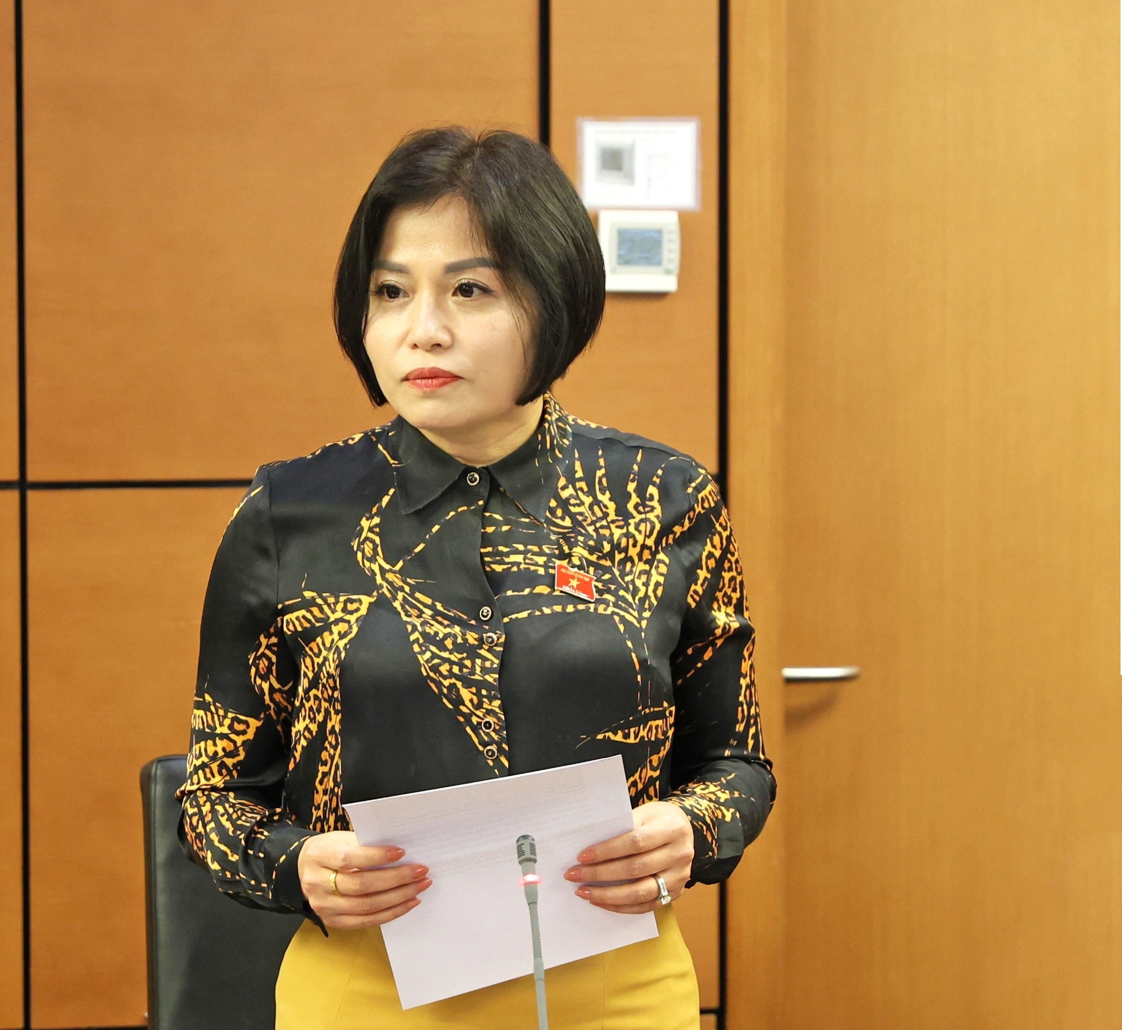Đại biểu Thái Quỳnh Mai Dung (Vĩnh Phúc)