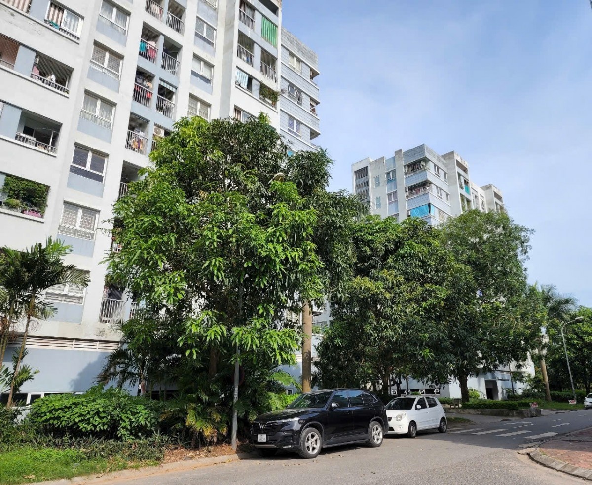 4 tháng đầu năm, cả nước đã có 15.614 căn hộ nhà ở xã hội hoàn thành 4 tháng đầu năm, cả nước đã có 15.614 căn hộ nhà ở xã hội hoàn thành