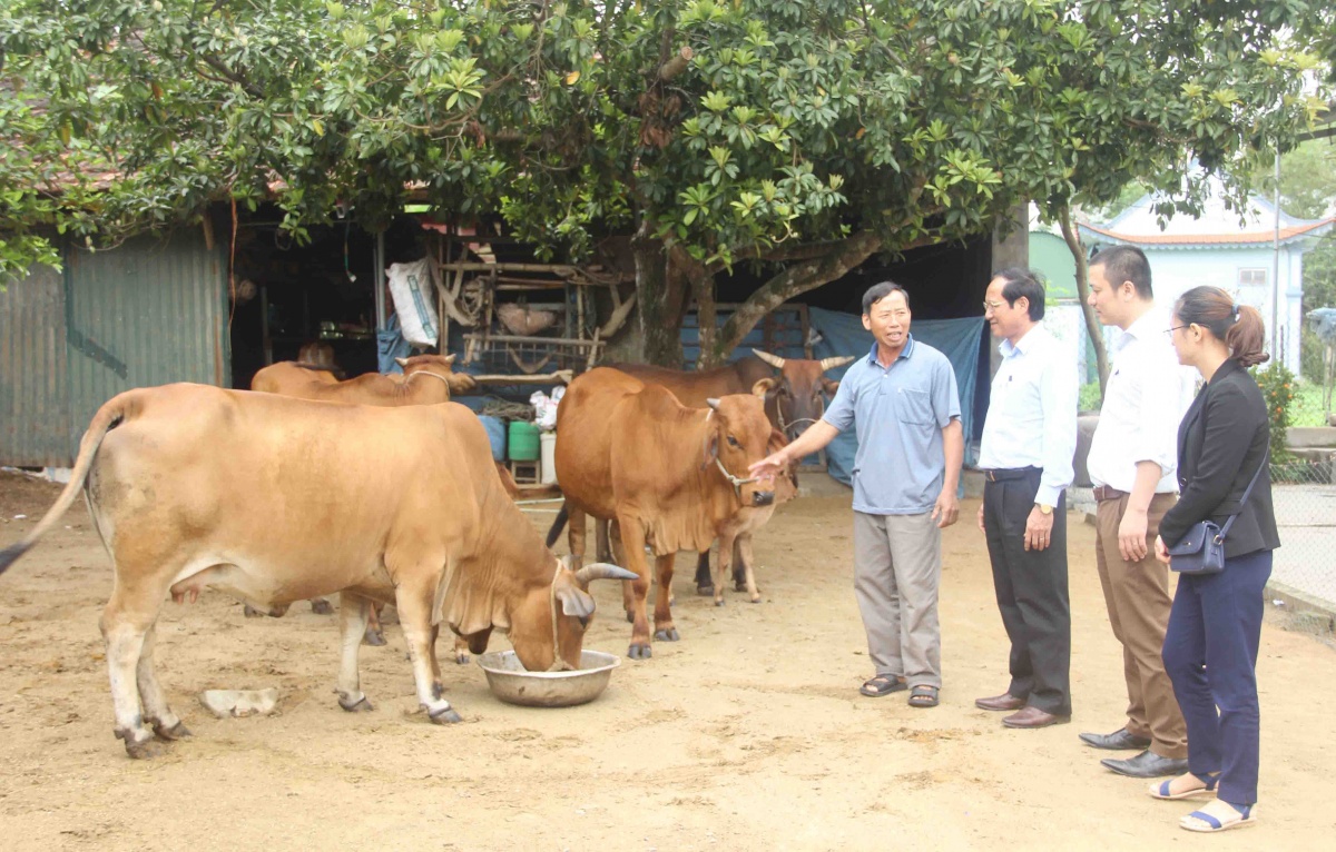 Các tổ tiết kiệm và vay vốn đang phát huy tốt vai trò của mình trong tín dụng chính sách ở Hà Tĩnh. Các tổ tiết kiệm và vay vốn đang phát huy tốt vai trò của mình trong tín dụng chính sách ở Hà Tĩnh.