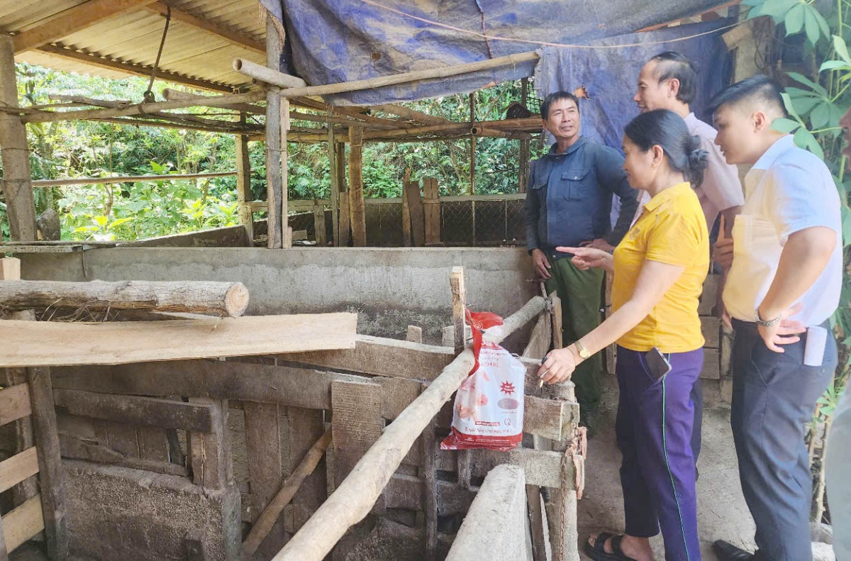 Hà Tĩnh là một trong những địa phương có chất lượng dư nợ tín dụng chính sách tốt nhất cả nước. Hà Tĩnh là một trong những địa phương có chất lượng dư nợ tín dụng chính sách tốt nhất cả nước.