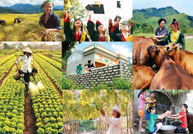 Thành lập Ban Chỉ đạo Trung ương các chương trình mục tiêu quốc gia giai đoạn 2021 - 2025 Thành lập Ban Chỉ đạo Trung ương các chương trình mục tiêu quốc gia giai đoạn 2021 - 2025