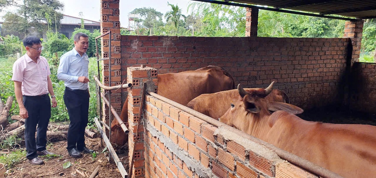 Đắk Lắk: Tín dụng chính sách xã hội - đòn bẩy giảm nghèo bền vững
