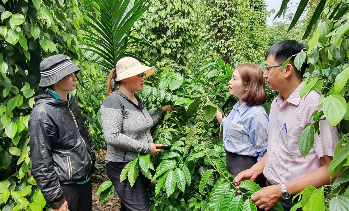 Đắk Lắk: Tín dụng chính sách xã hội - đòn bẩy giảm nghèo bền vững