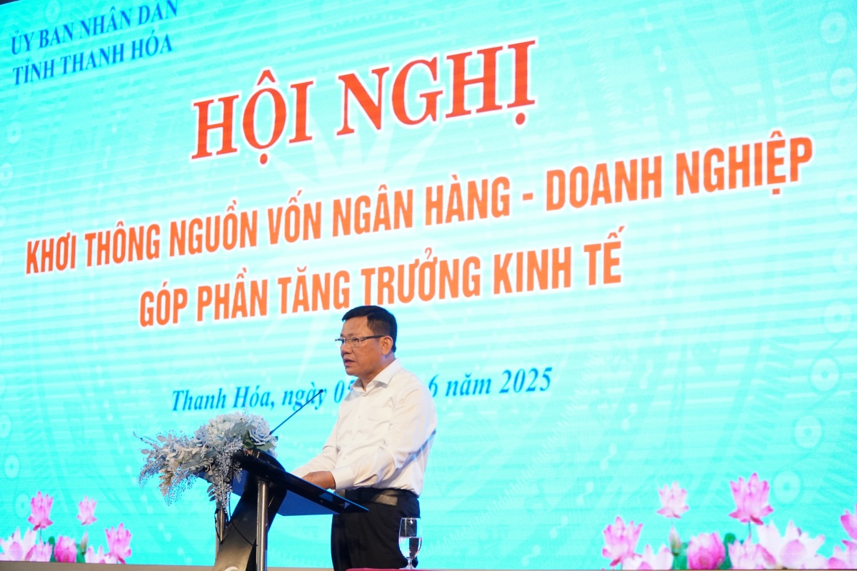 Phó Chủ tịch Thường trực UBND tỉnh Nguyễn Văn Thi phát biểu tại hội nghị.