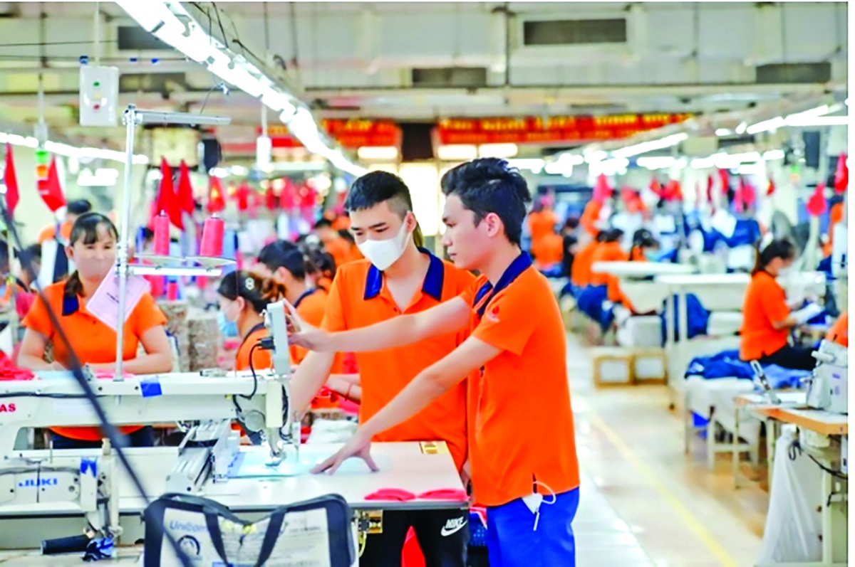 Kinh tế tư nhân ngày càng trở thành lực lượng quan trọng trong sự phát triển của nền kinh tế Kinh tế tư nhân ngày càng trở thành lực lượng quan trọng trong sự phát triển của nền kinh tế