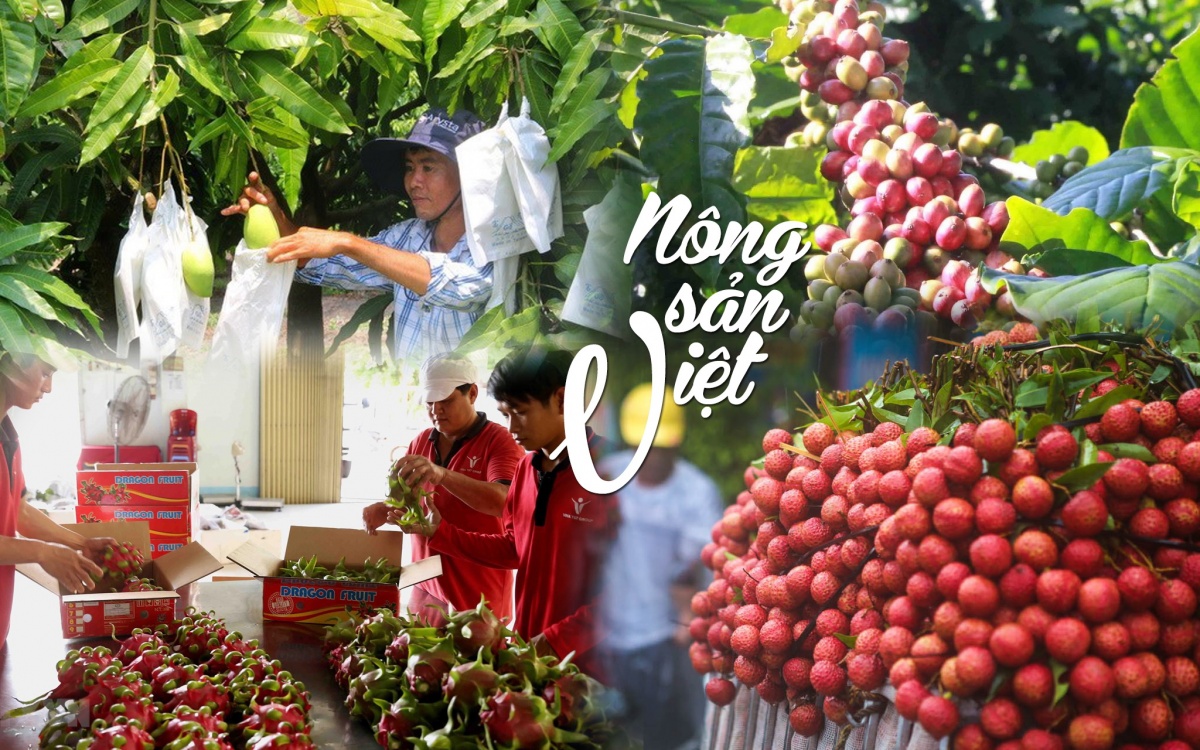 Đề xuất những giải pháp chiến lược, đồng bộ nhằm đưa nông sản Việt vươn xa Đề xuất những giải pháp chiến lược, đồng bộ nhằm đưa nông sản Việt vươn xa