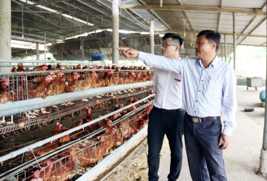 Agribank chi nhánh tỉnh Đắk Lắk tiếp tục bám sát chỉ đạo của Chính phủ, NHNN, Agribank và chiến lược phát triển lĩnh vực nông nghiệp, nông thôn của tỉnh Đắk Lắk để triển khai có hiệu quả các giải pháp đẩy mạnh tăng trưởng tín dụng an toàn, hiệu quả