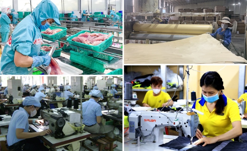Đẩy mạnh phát triển doanh nghiệp tư nhân để đạt mục tiêu 2 triệu doanh nghiệp năm 2030