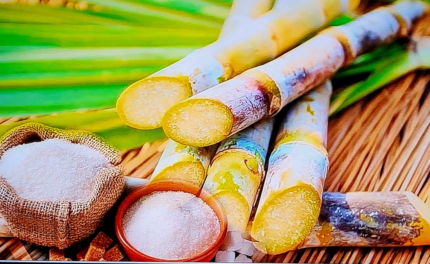 Ngịch lý giá đường trong nước giảm trong khi trên thị trường quốc t