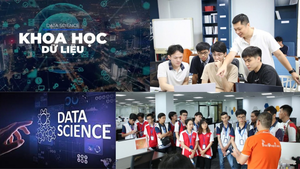 Khoa học dữ liệu hiện nằm trong top 3 ngành có mức thu nhập cao nhất Việt Nam