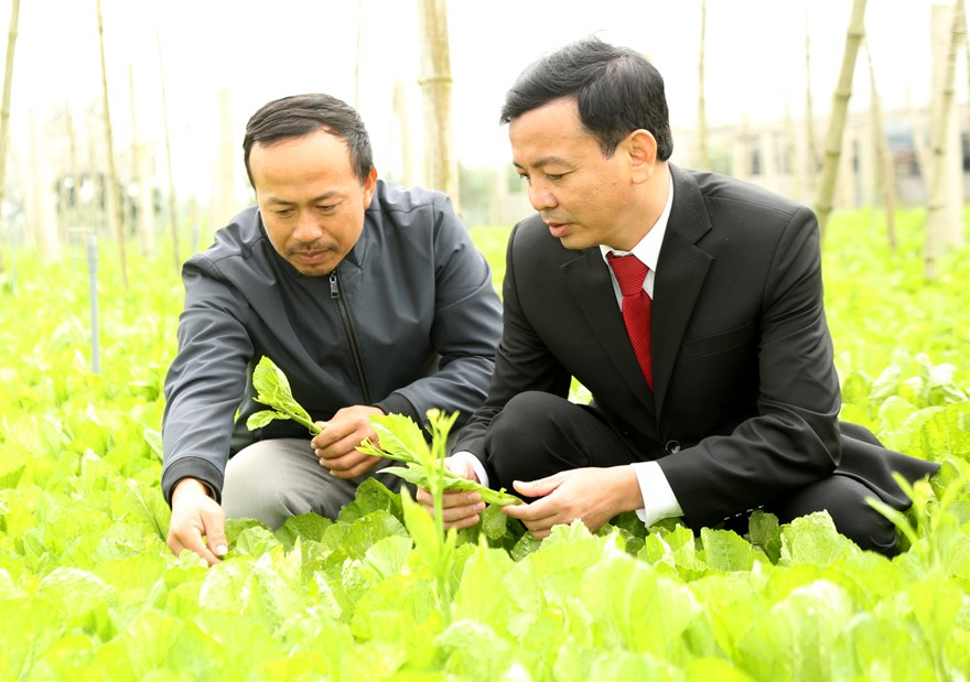 Anh Nguyễn Đình Quỳnh (bên trái) chia sẻ cùng cán bộ Agribank về những khó khăn và những kết quả trong quá trình gây dựng sự nghiệp Anh Nguyễn Đình Quỳnh (bên trái) chia sẻ cùng cán bộ Agribank về những khó khăn và những kết quả trong quá trình gây dựng sự nghiệp
