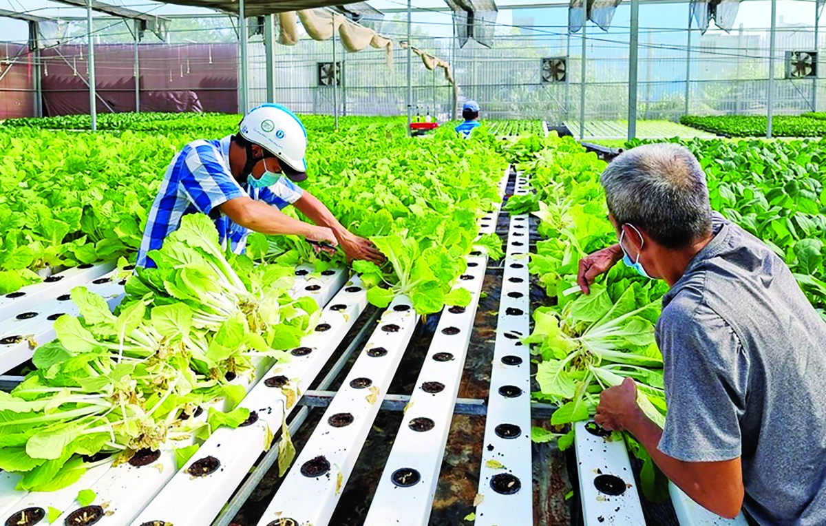 Nông dân, doanh nghiệp và nhà khoa học phải cùng nhau tạo nên hệ sinh thái nông nghiệp đổi mới sáng tạo Nông dân, doanh nghiệp và nhà khoa học phải cùng nhau tạo nên hệ sinh thái nông nghiệp đổi mới sáng tạo