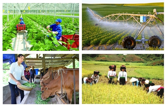 Tổng điều tra nông thôn, nông nghiệp năm 2025 Tổng điều tra nông thôn, nông nghiệp năm 2025