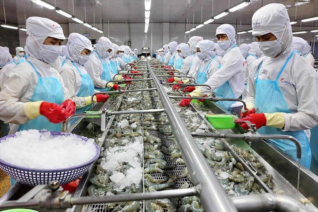 Thương mại Việt - Nga: Tiềm năng và cơ hội