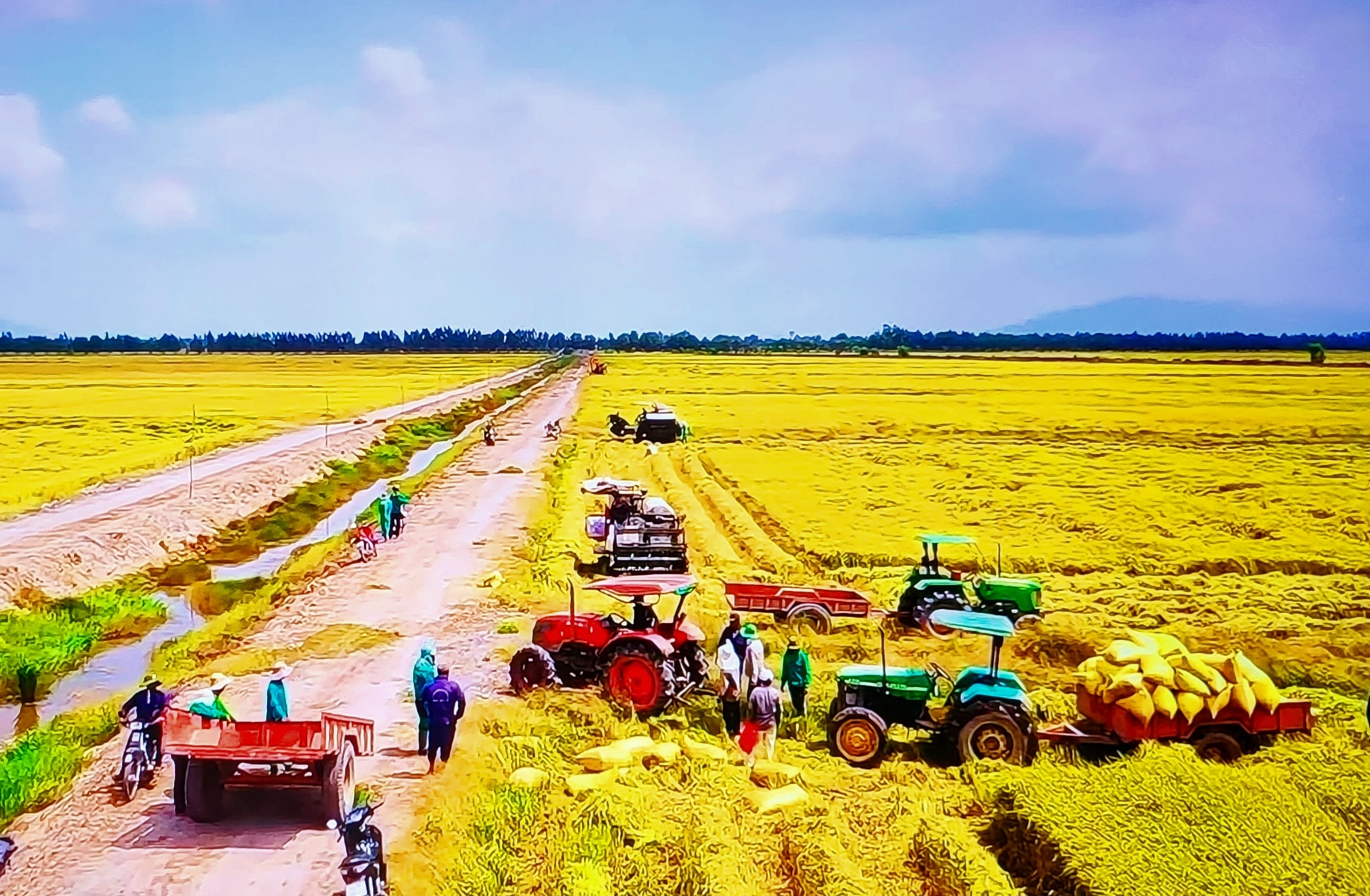 Đã có nhiều nông dân tham gia dự án “Gạo phát thải thấp” Đã có nhiều nông dân tham gia dự án “Gạo phát thải thấp”