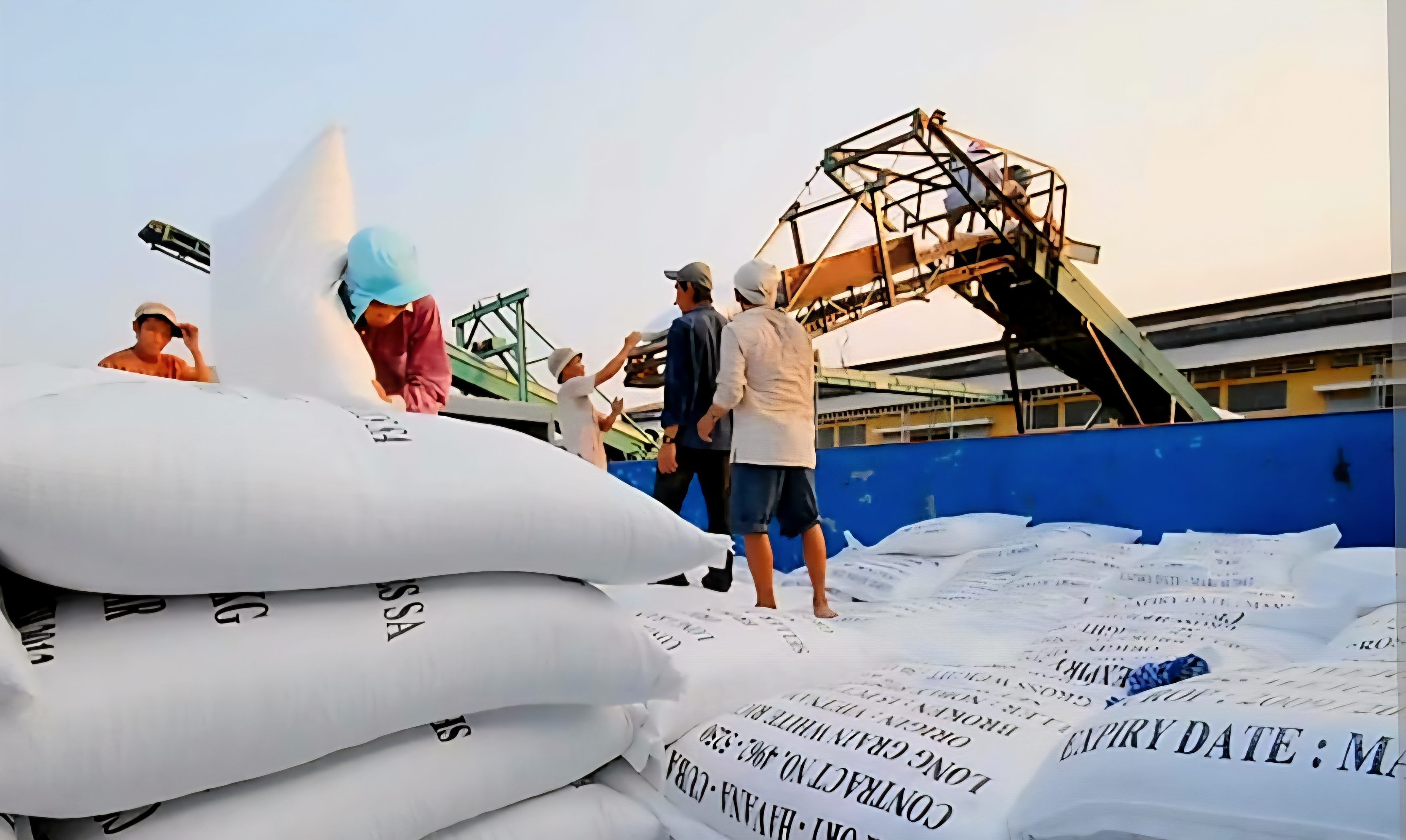 gạo đóng gói thương hiệu riêng, giá trị có thể tăng thêm 15-20%.” gạo đóng gói thương hiệu riêng, giá trị có thể tăng thêm 15-20%.”