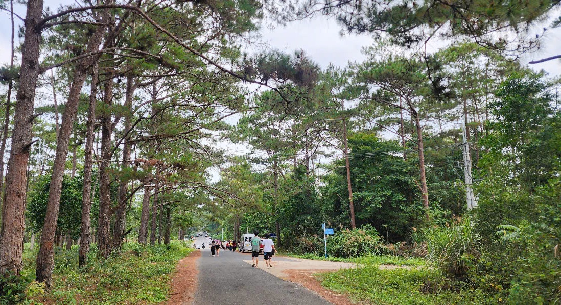 Măng Đen - “Đà Lạt thứ hai” ởvới độ cao hơn 1.000m, khí hậu quanh năm mát mẻ, rừng thông bạt ngàn.