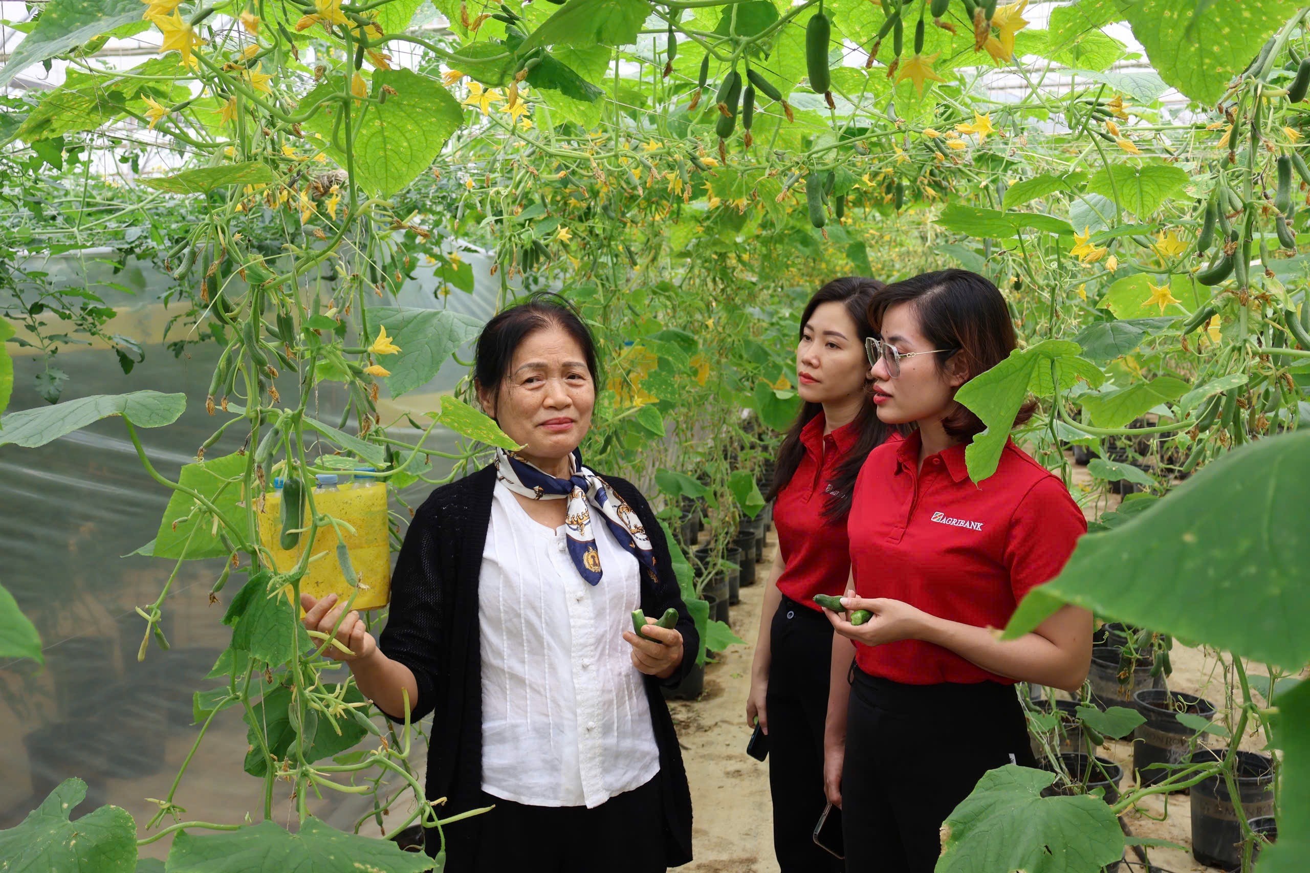 Agribank ưu tiên tài trợ cho các dự án nông nghiệp công nghệ cao, năng lượng tái tạo, trồng rừng và kinh tế tuần hoàn