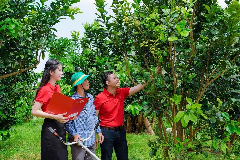Một mô hình sản xuất nông nghiệp hữu cơ từ nguồn vốn đầu tư của Agribank