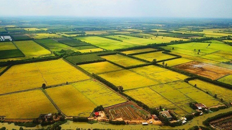 Kéo dài thời hạn miễn thuế sử dụng đất nông nghiệp đến hết năm 2030