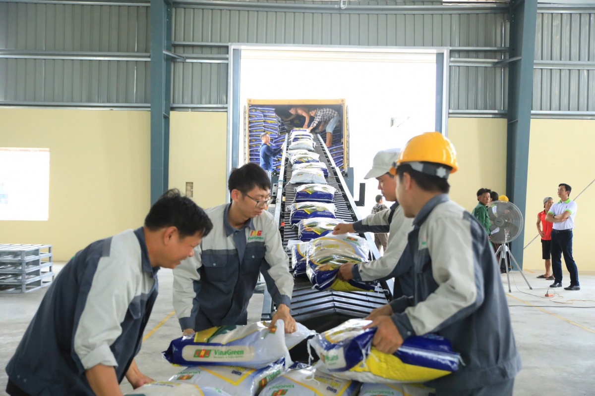 Gạo Việt chất lượng cao tiến vào thị trường khó tính