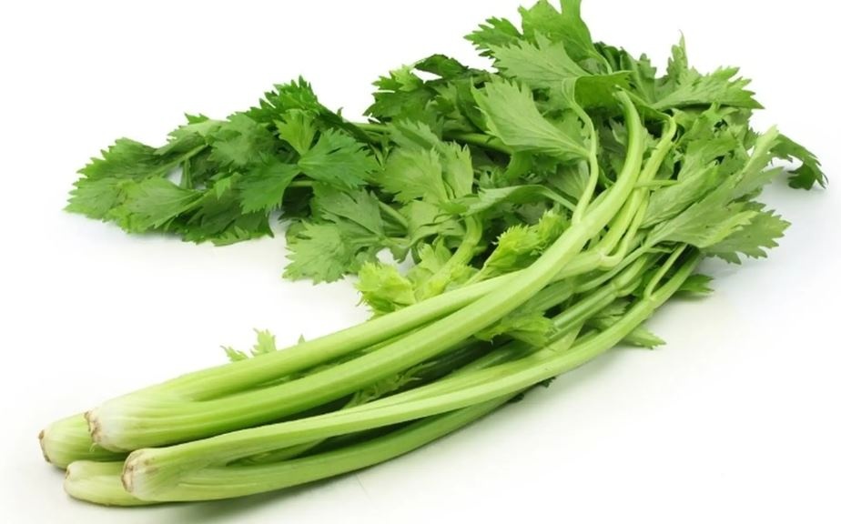 6 loại rau củ không nên ăn thường xuyên 6 loại rau củ không nên ăn thường xuyên
