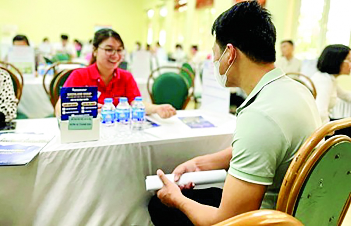Không dễ để những người lao động trên 35 tuổi có được việc làm phù hợp Không dễ để những người lao động trên 35 tuổi có được việc làm phù hợp