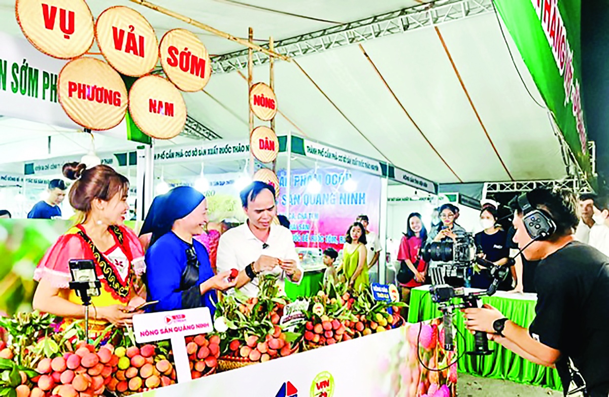 Chuyển đổi số giúp doanh nghiệp mang lại lợi ích cho người dân, cộng đồng và chính doanh nghiệp