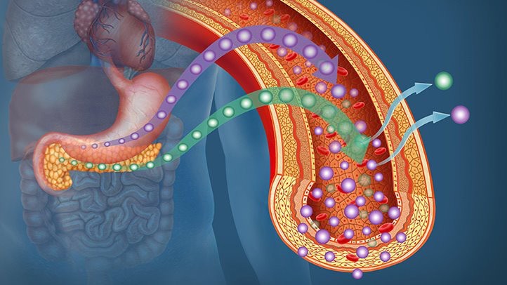 5 dấu hiệu cho thấy lượng đường trong máu đang tăng 5 dấu hiệu cho thấy lượng đường trong máu đang tăng