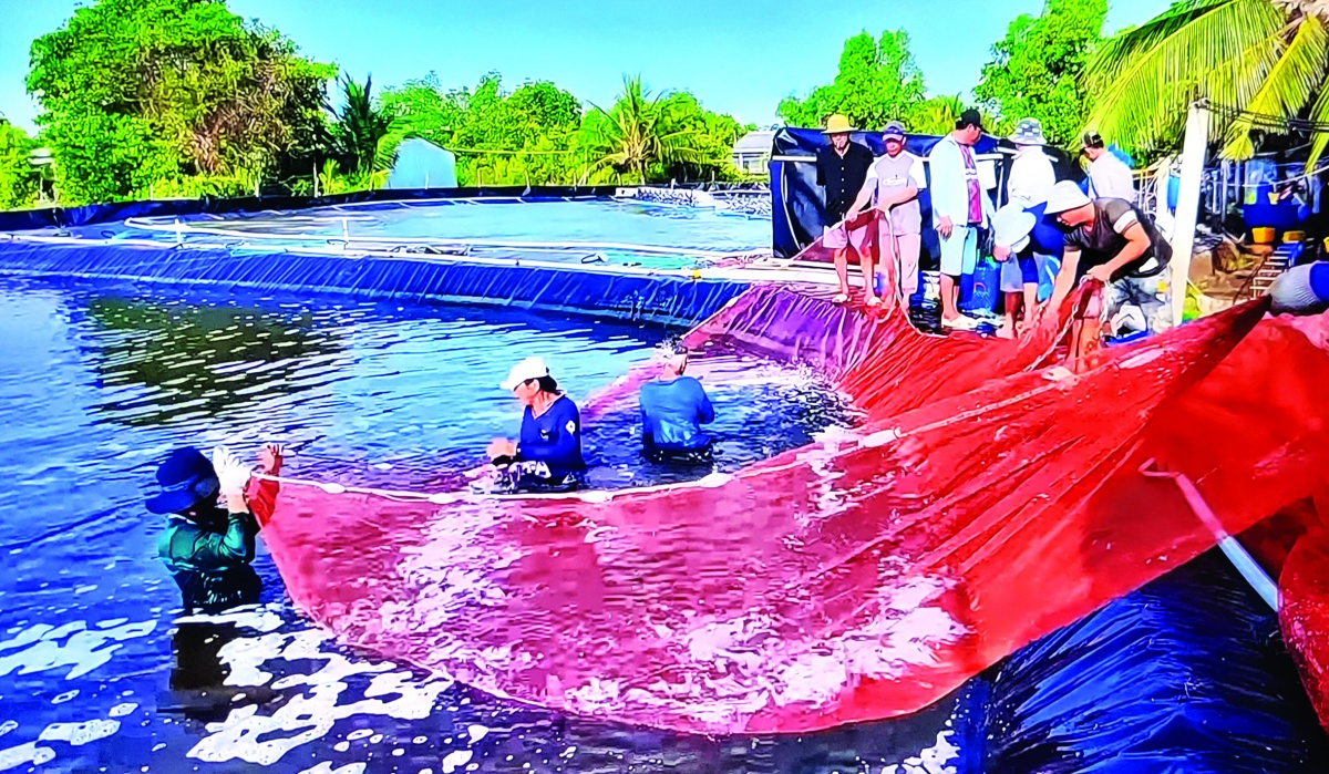 Các doanh nghiệp xuất khẩu cần minh bạch hóa chuỗi cung ứng và tập trung đầu tư chế biến sâu Các doanh nghiệp xuất khẩu cần minh bạch hóa chuỗi cung ứng và tập trung đầu tư chế biến sâu