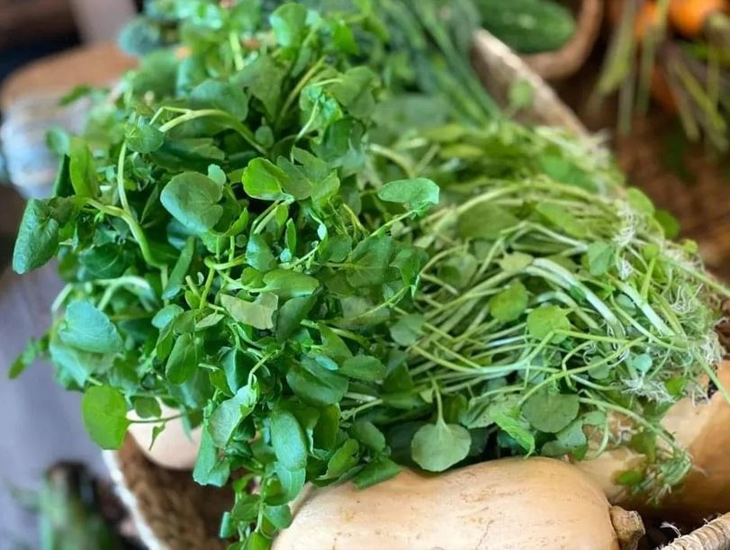 Siêu thực phẩm cải xoong với công dụng tuyệt vời