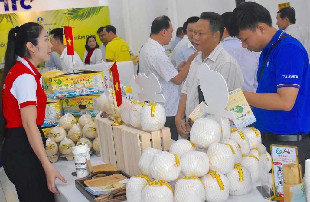 Bên cạnh sầu riêng, hiện kim ngạch xuất khẩu các sản phẩm từ dừa đã vượt ngưỡng 1,1 tỷ USD trở thành loại trái cây xuất khẩu chủ lực của nhiều địa phương. Ảnh: TL Bên cạnh sầu riêng, hiện kim ngạch xuất khẩu các sản phẩm từ dừa đã vượt ngưỡng 1,1 tỷ USD trở thành loại trái cây xuất khẩu chủ lực của nhiều địa phương. Ảnh: TL