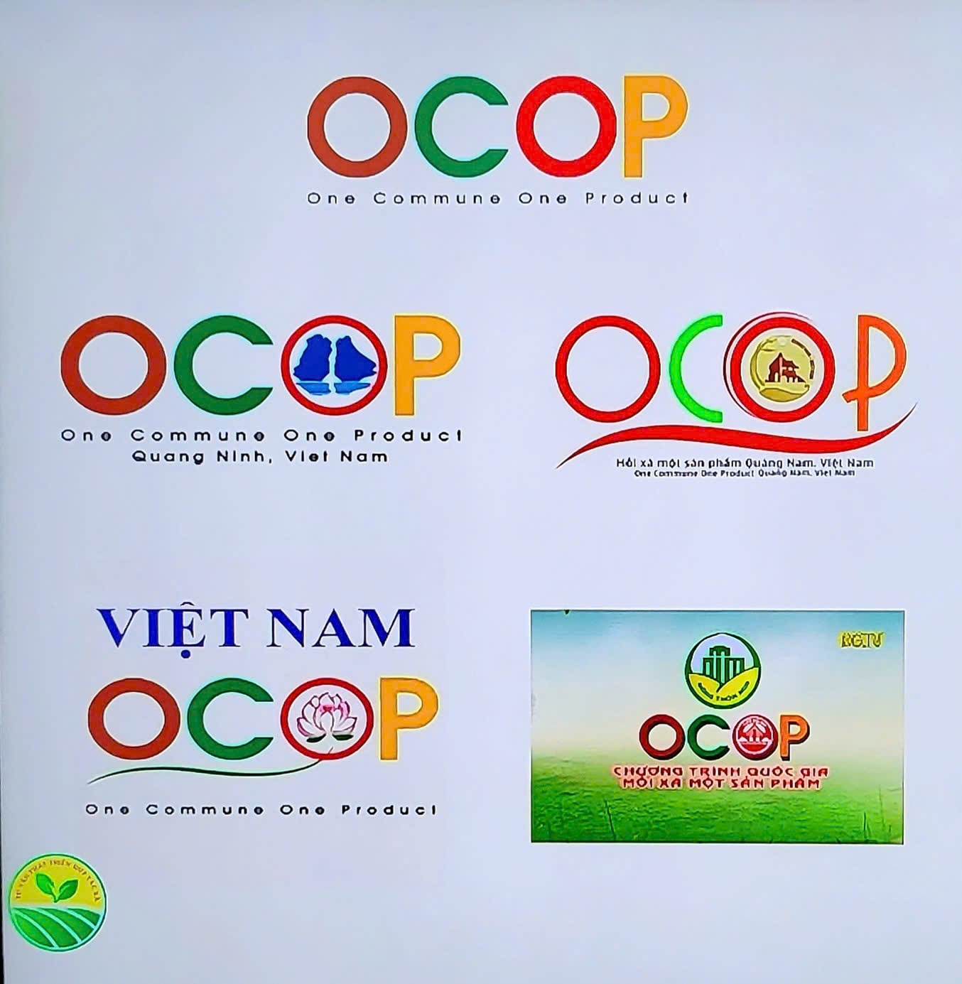 Các sản phẩm Các sản phẩm