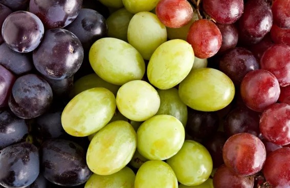 7 loại trái cây tốt cho người bệnh người gan nhiễm mỡ 7 loại trái cây tốt cho người bệnh người gan nhiễm mỡ