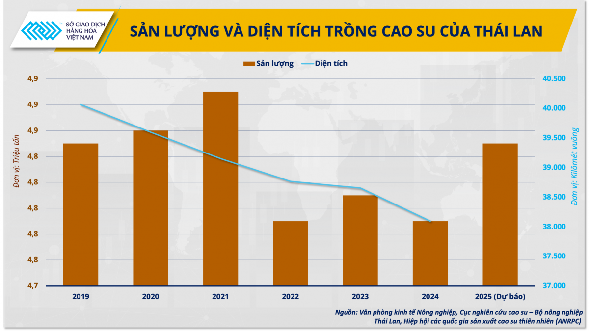 Việt Nam có soán ngôi vương của Thái Lan trong xuất khẩu cao su? Việt Nam có soán ngôi vương của Thái Lan trong xuất khẩu cao su?