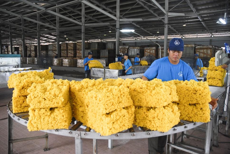 Việt Nam có soán ngôi vương của Thái Lan trong xuất khẩu cao su? Việt Nam có soán ngôi vương của Thái Lan trong xuất khẩu cao su?