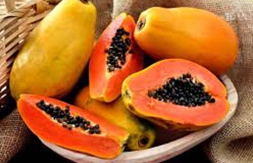 7 loại trái cây giúp người bệnh sốt xuất huyết nhanh phục hồi 7 loại trái cây giúp người bệnh sốt xuất huyết nhanh phục hồi