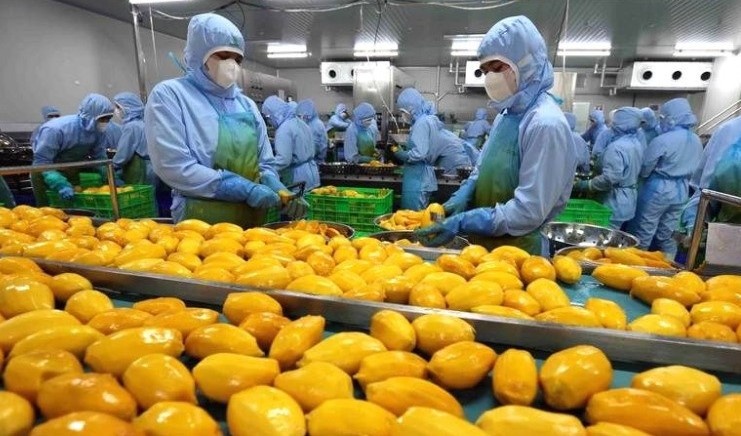 Châu Phi - thị trường mới giàu tiềm năng cho nông sản Việt Châu Phi - thị trường mới giàu tiềm năng cho nông sản Việt