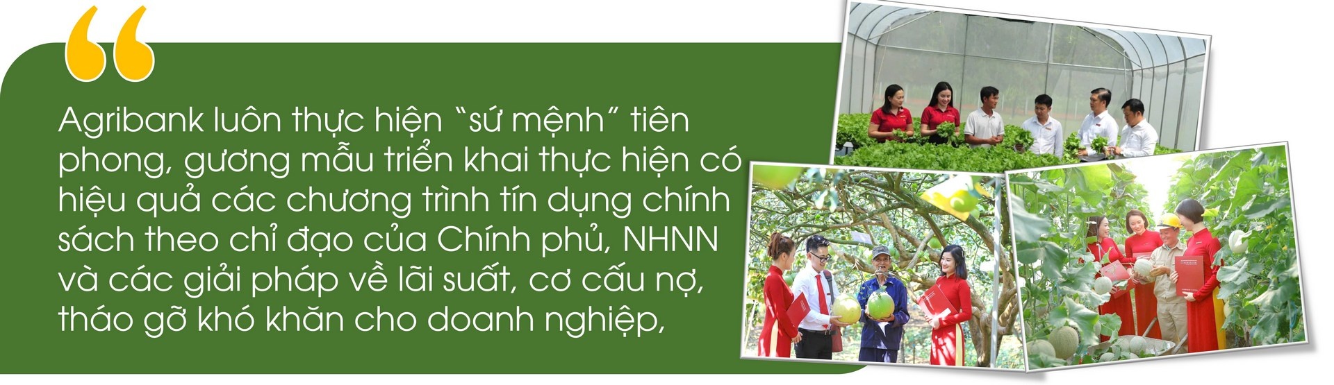 Dấu ấn quan trọng, toàn diện trong thực hiện nhiệm vụ chính trị nhiệm kỳ 2020-2025 gắn với tái cơ cấu và xử lý nợ xấu - tiền đề tăng tốc, bứt phá cùng đất nước tăng trưởng hai con số trong kỷ nguyên mới