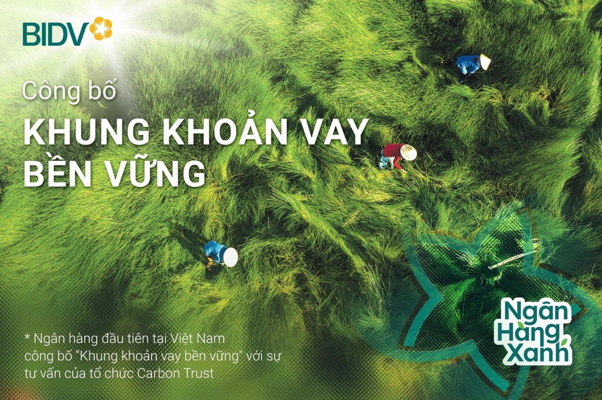 BIDV là ngân hàng đầu tiên tại Việt Nam công bố “Khung khoản vay bền vững” BIDV là ngân hàng đầu tiên tại Việt Nam công bố “Khung khoản vay bền vững”