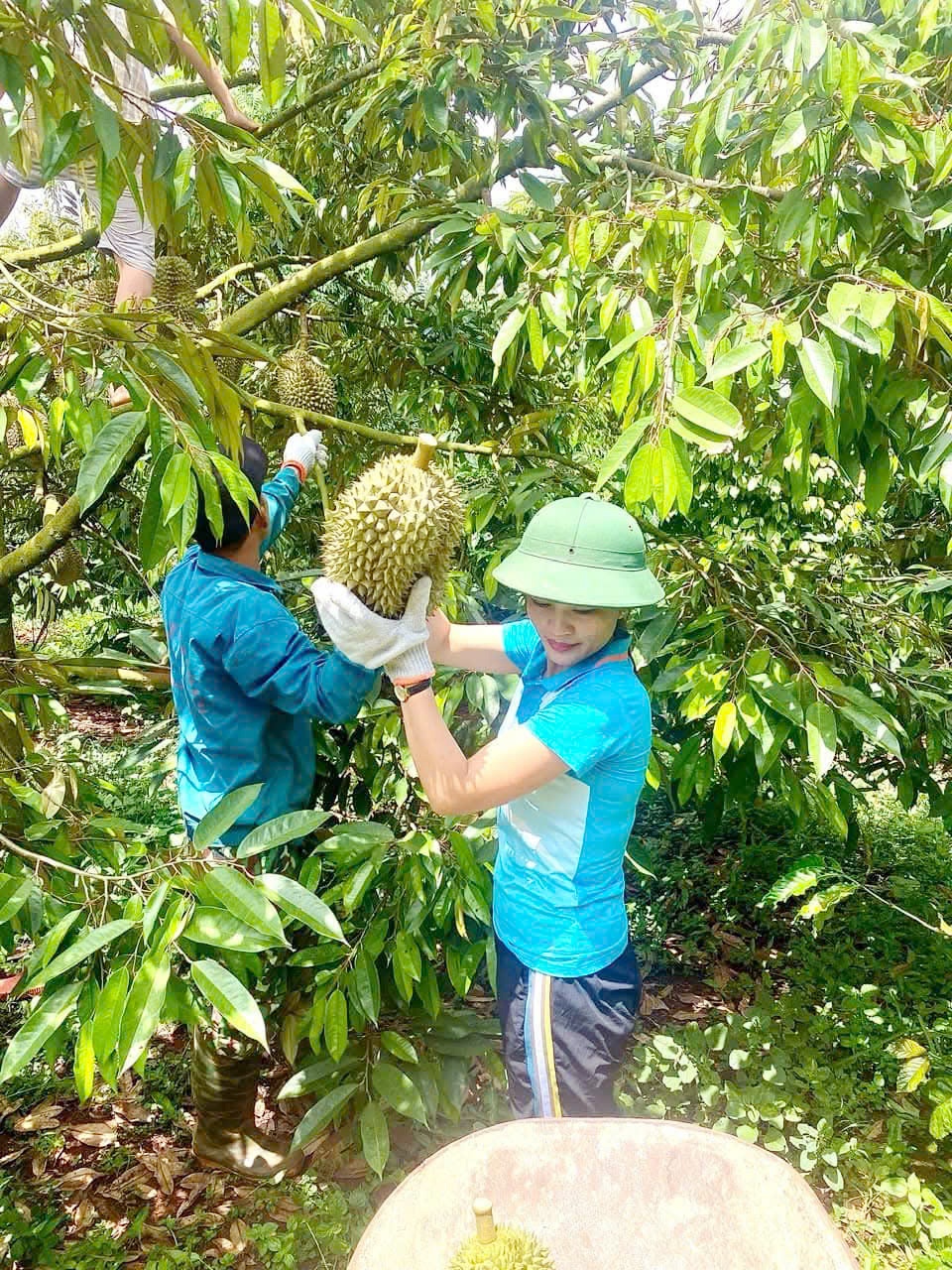 Đắk Lắk: Dòng chảy tín dụng chính sách ổn định, ấm lòng dân Đắk Lắk: Dòng chảy tín dụng chính sách ổn định, ấm lòng dân