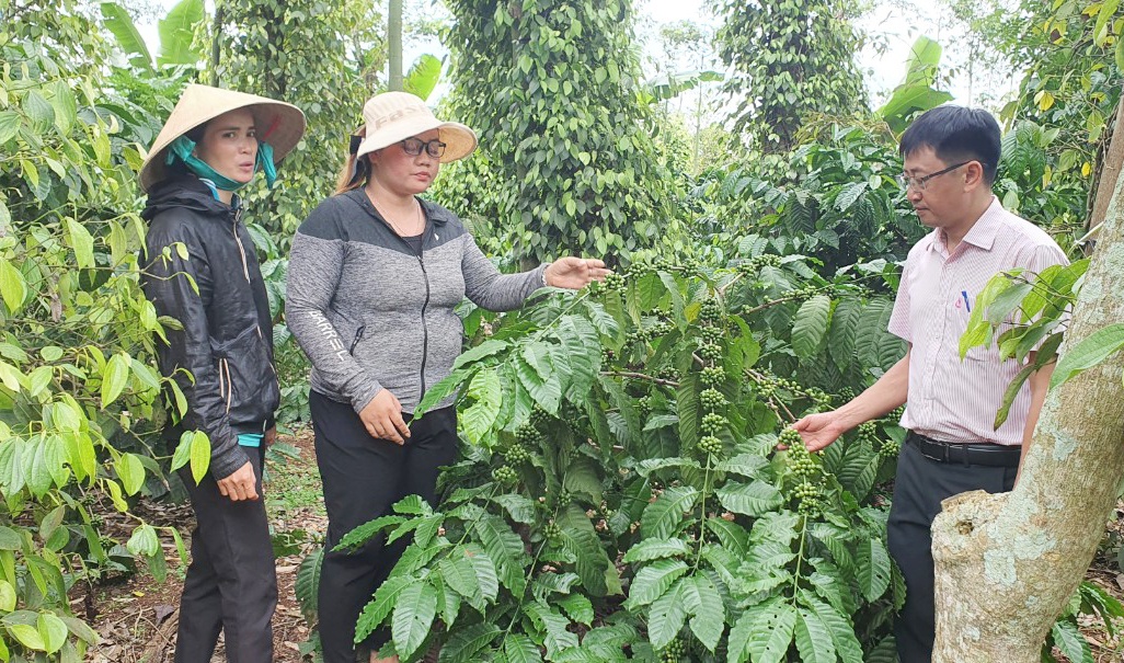 Đắk Lắk: Dòng chảy tín dụng chính sách ổn định, ấm lòng dân Đắk Lắk: Dòng chảy tín dụng chính sách ổn định, ấm lòng dân