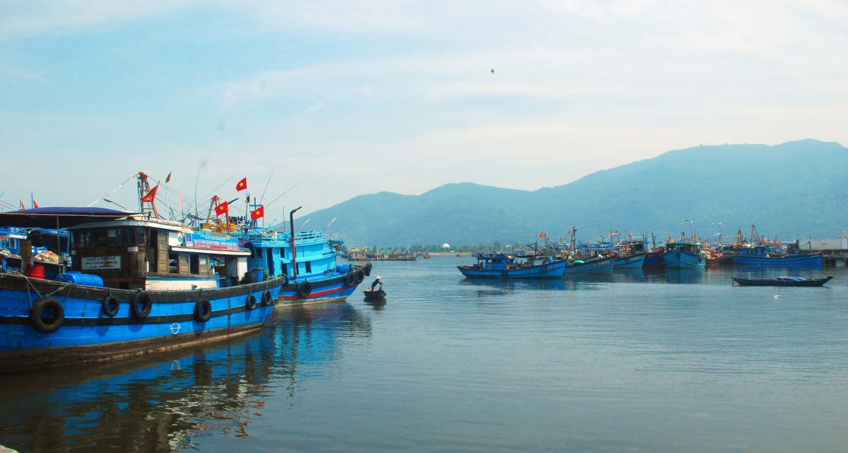 Đà Nẵng hướng tới phát triển ngành thủy sản bền vững