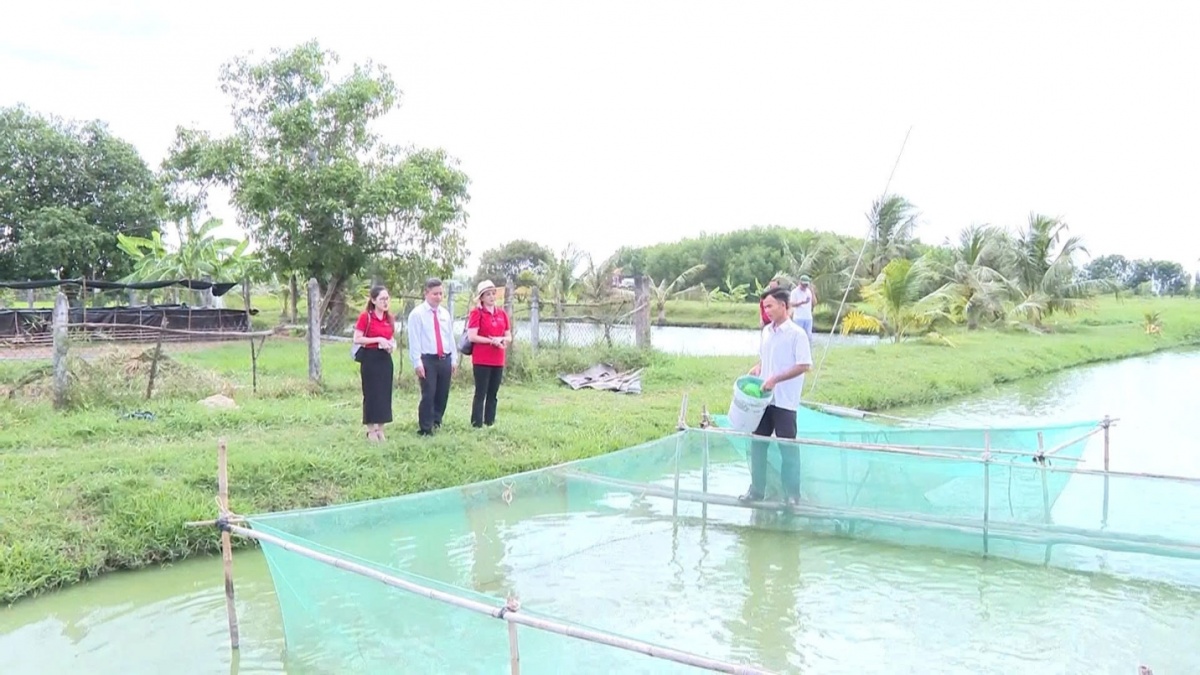 Mô hình nuôi cá rô đầu vuông của anh Lương Văn Nghiệp đang mang lại thu nhập ổn định nhờ sự tiếp sức từ nguồn vốn của Agribank Mô hình nuôi cá rô đầu vuông của anh Lương Văn Nghiệp đang mang lại thu nhập ổn định nhờ sự tiếp sức từ nguồn vốn của Agribank